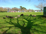 img-20240321-153552-34743