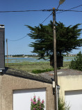 img-7285-33870