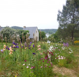 la-genetiere-nivillac-photo-1-33893