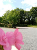 photo-8-34723